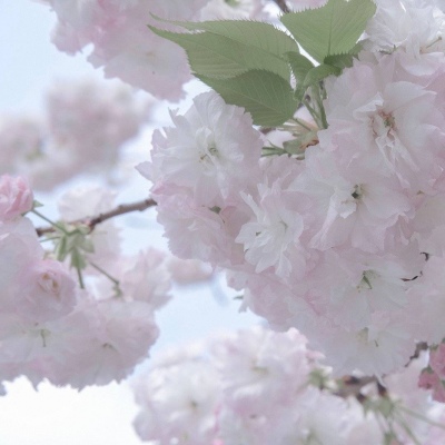 兽设场景透视教程兽圈群